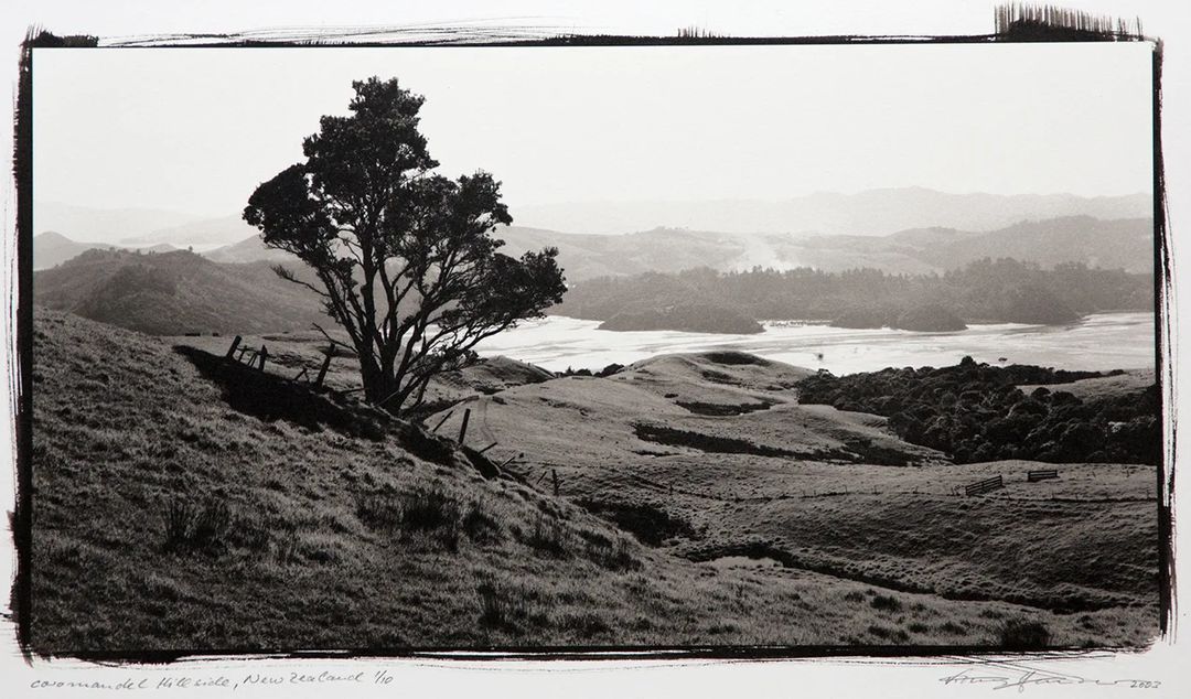 Tony Hauser Artist Talk