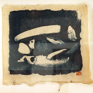 Atia Pokorny Fossil I