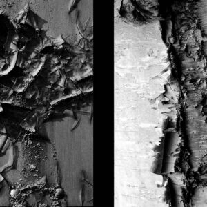 Equivalence No. 7, Toronto, ON., 2023 - Gerald Pisarzowski