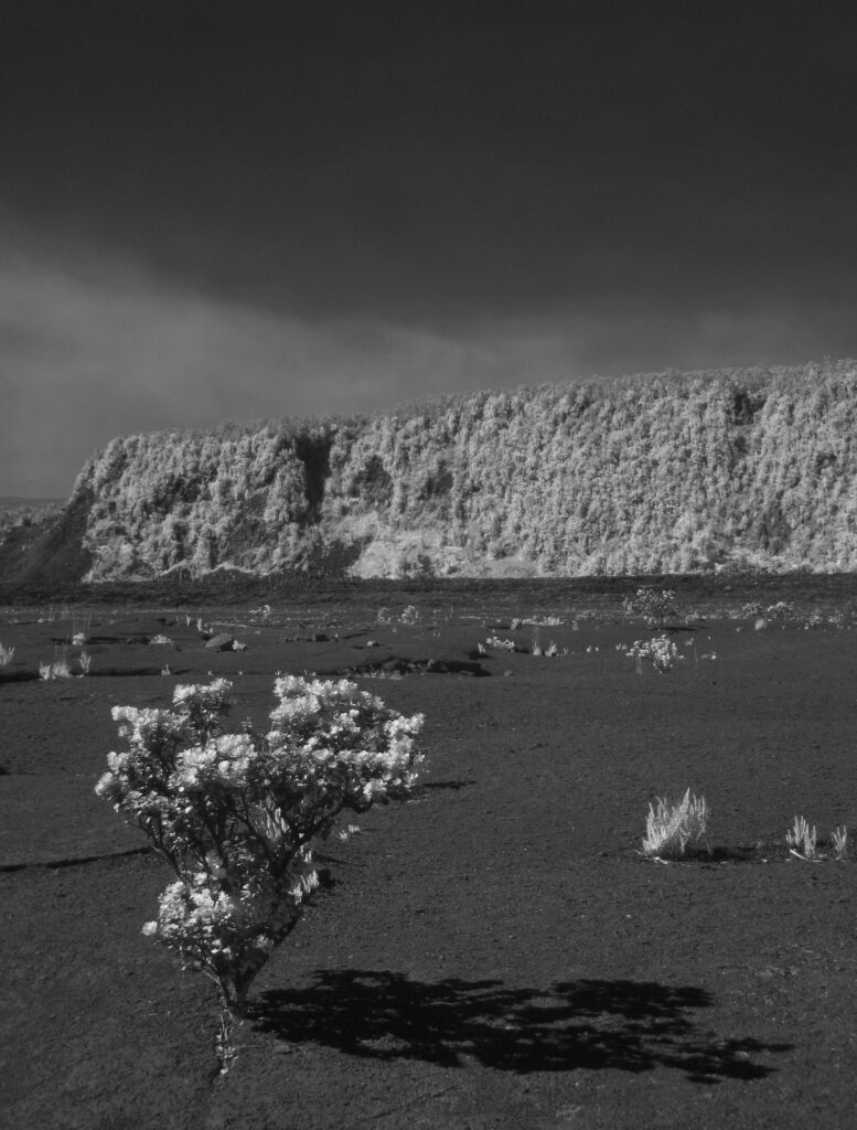 Rancourt Jackie, Volcano