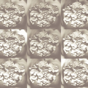 Mikhak Kamelia Pezeshki